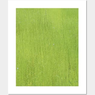 Green Green Grass Posters and Art